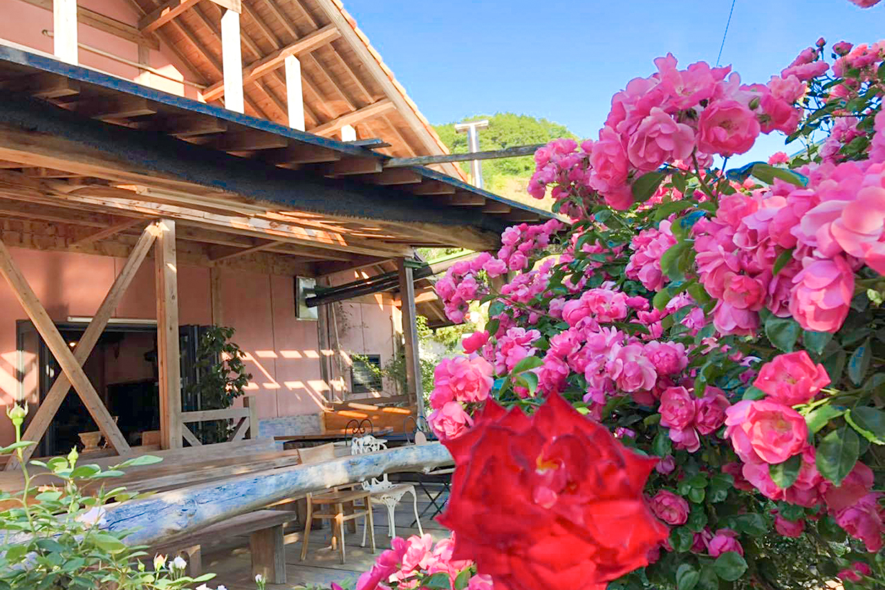 自家焙煎工房モカ珈琲